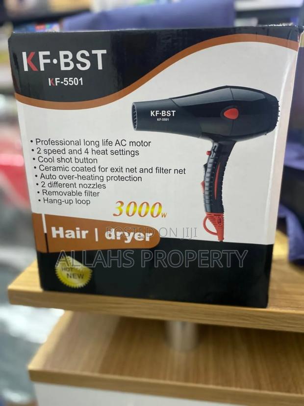 Professional Hair Dryer · Photo 3