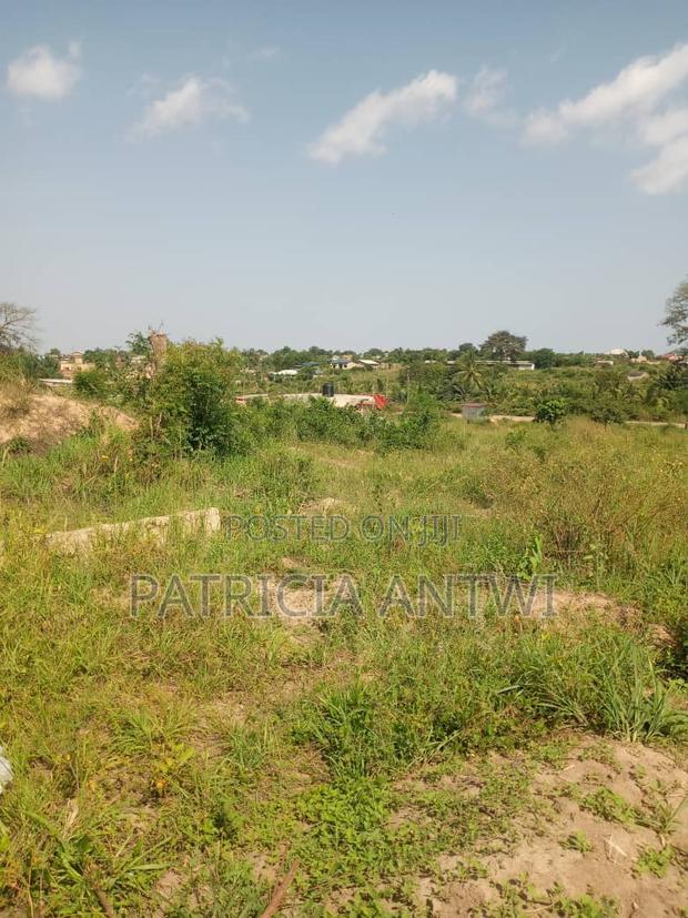 Affordable Lands for Sale (Registered Survey) · Photo 1