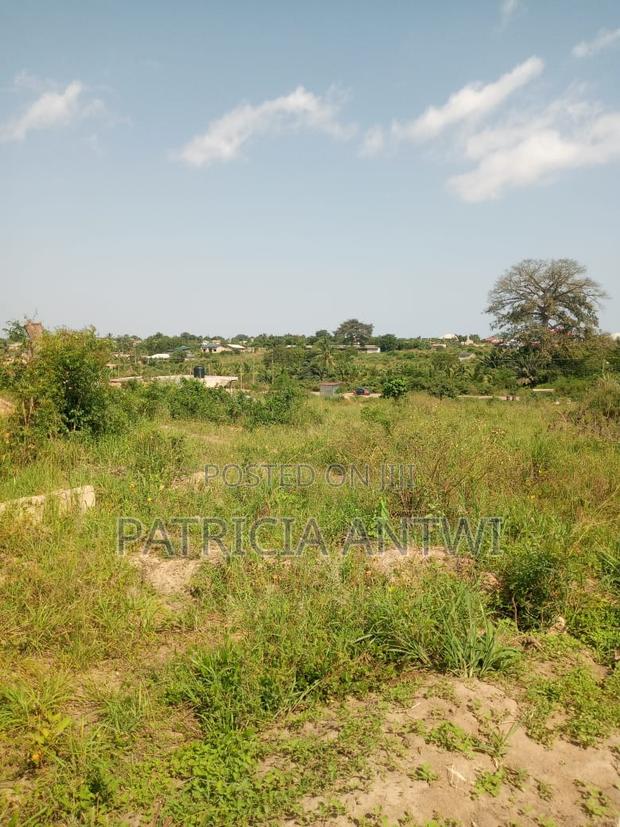 Affordable Lands for Sale (Registered Survey) · Photo 3
