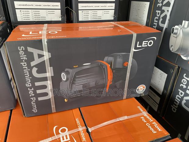 Ajm75 Leo 1.0hp Cast Water Pump · Photo 1