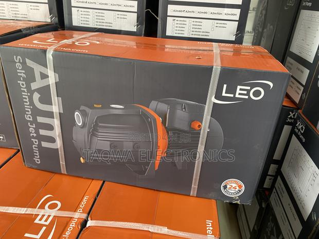 1 Hp / 750 W Leo Cast Water Pump 1.0hp · Photo 1