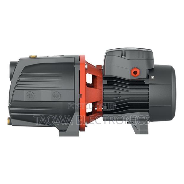 Perfect ~1hp Leo Ajm75 Cast Pump · Photo 1