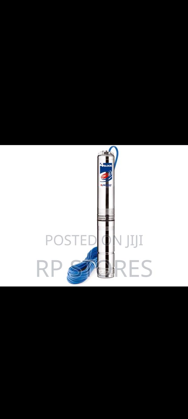 Pedrollo Bore Hole Pump 1.5hp / 2.5hp · Photo 1