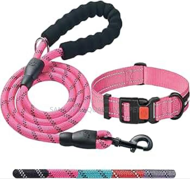 Dog Leash With Color · Photo 1