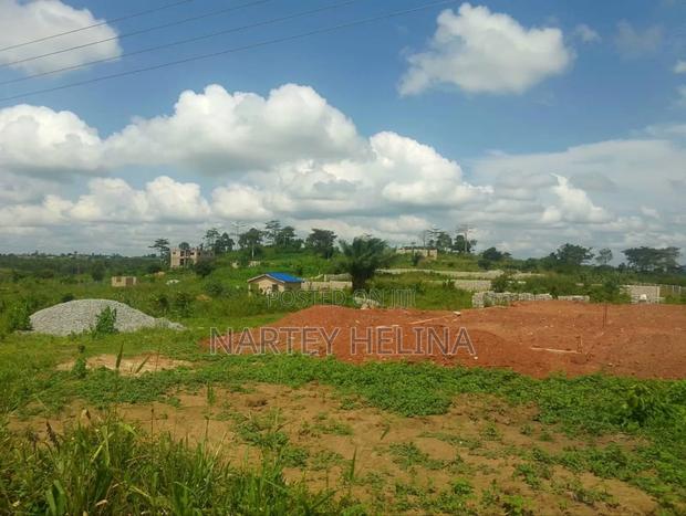 Buduata Plots In The Central Region Are Ready For Sale · Photo 1