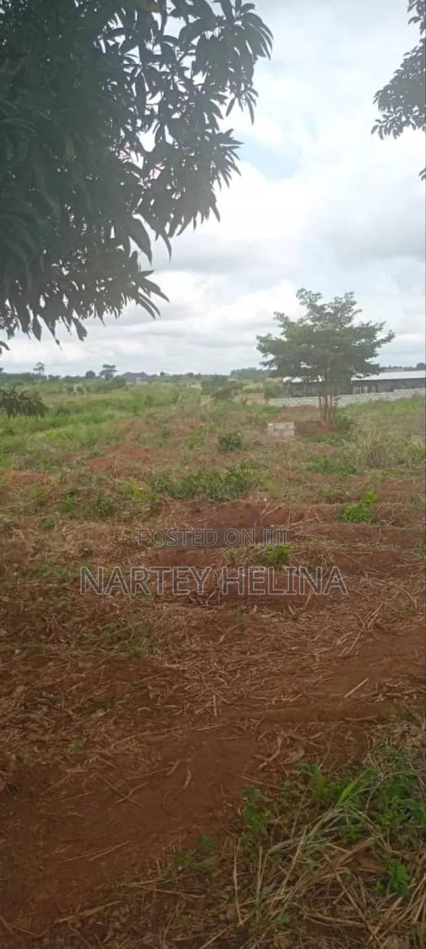 Buduata Plots In The Central Region Are Ready For Sale · Photo 2
