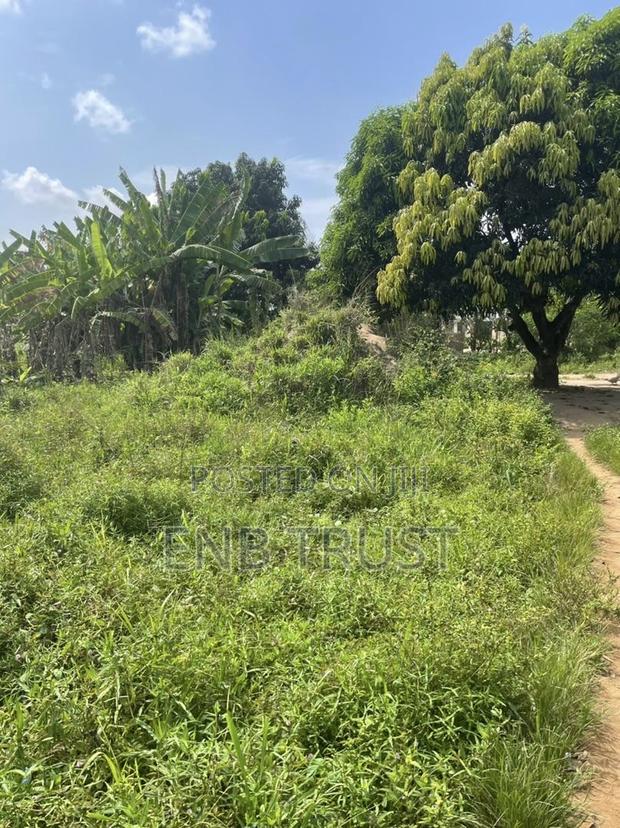 1 Plot of Land for Sale at Asalaja · Photo 5