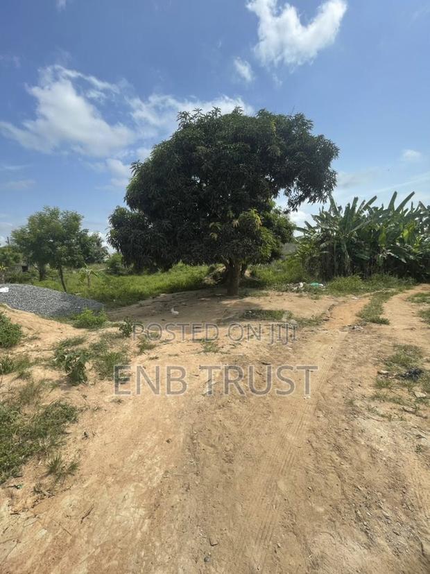 1 Plot of Land for Sale at Asalaja · Photo 8