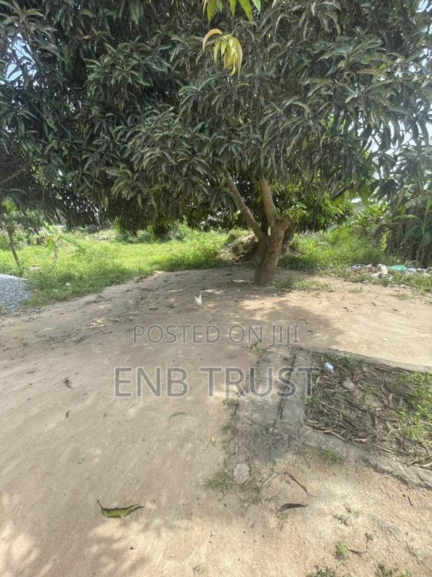 1 Plot of Land for Sale at Asalaja · Photo 3
