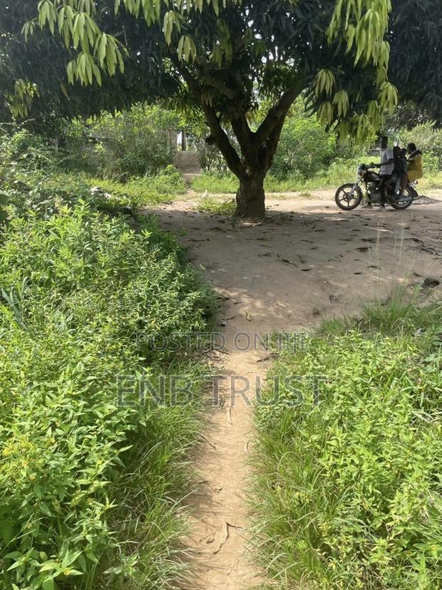 1 Plot of Land for Sale at Asalaja · Photo 4