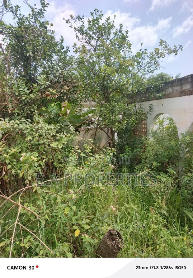Land for Sale · Photo 1