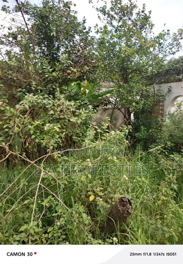 Land for Sale · Photo 3