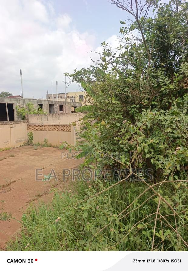 Land for Sale · Photo 7
