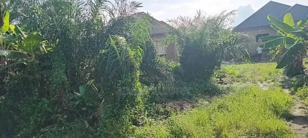 Land for Sale · Photo 1