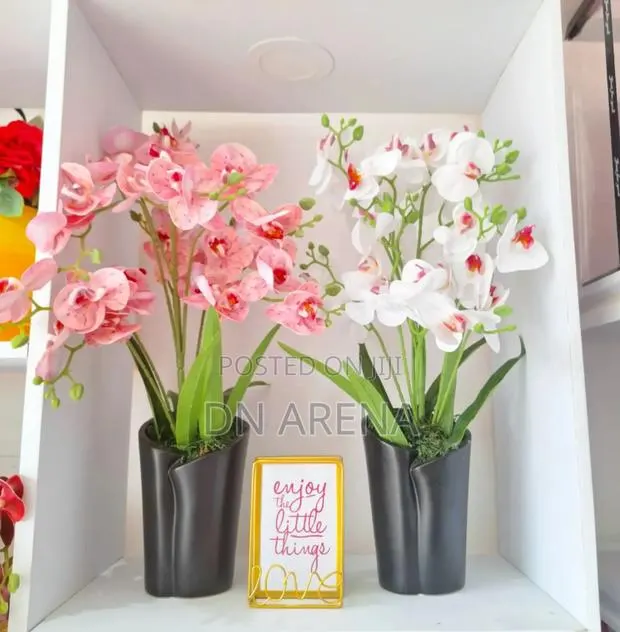 Potted Orchids in Trunk Vase · Photo 1