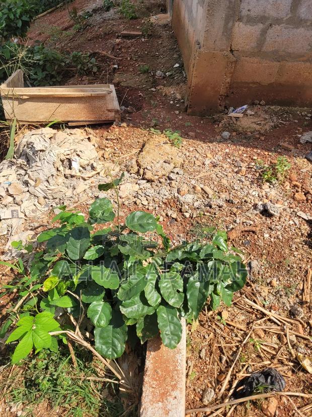 Land for Sale at Santa'si Darko Near Main Road · Photo 1