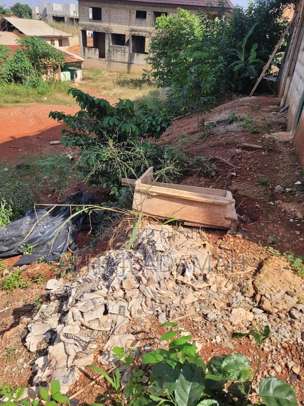 Land for Sale at Santa'si Darko Near Main Road · Photo 2
