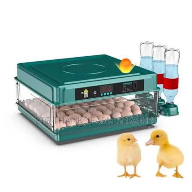 72 Egg Incubator · Photo 1