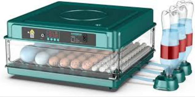 72 Egg Incubators, Dual Power · Photo 1