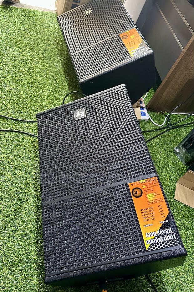 Ev 15 Inches Passive Dual Stage Monitors · Photo 3