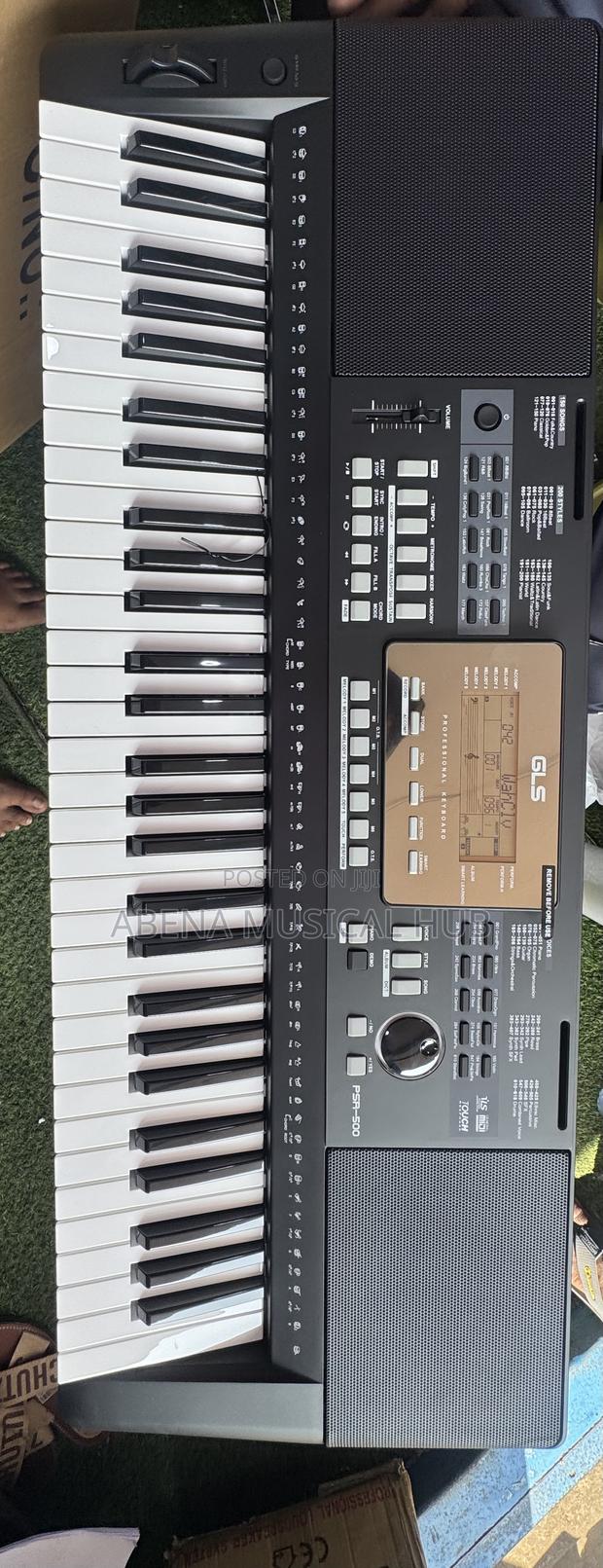 GLS PSR 500 Keyboard · Photo 2