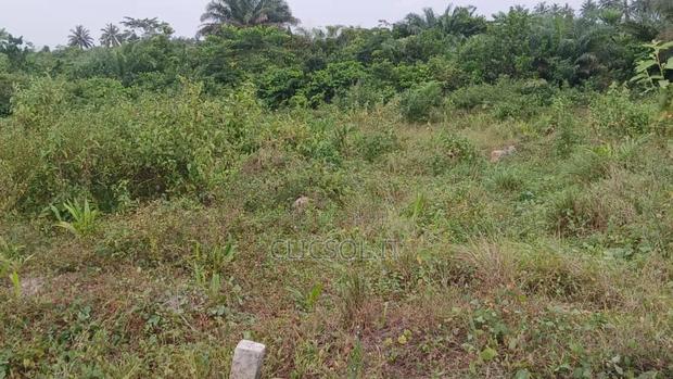 Plots of Land at Whindo · Photo 2