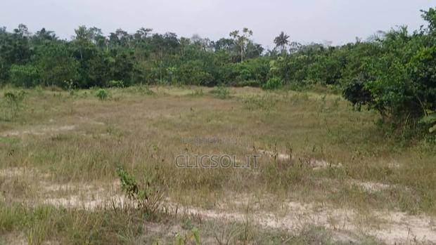 Plots of Land at Whindo · Photo 3