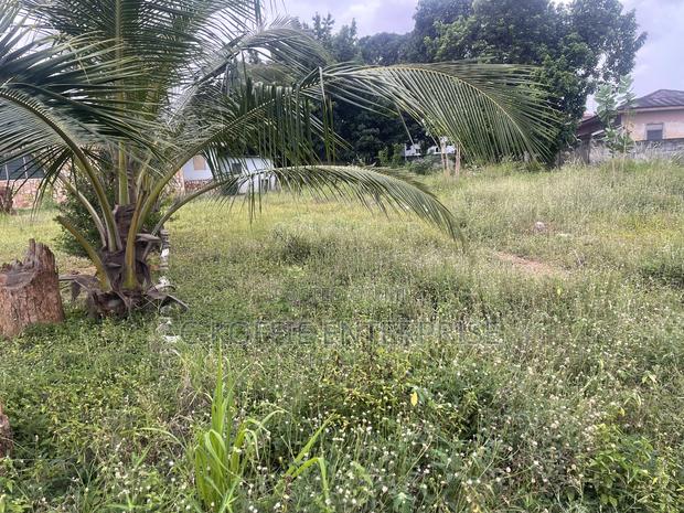 2.5 Acers Land at Kwame Nkrumah Circle · Photo 6