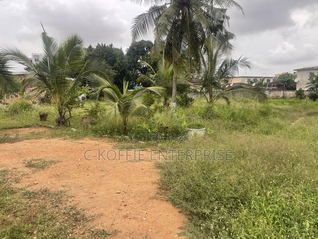 2.5 Acers Land at Kwame Nkrumah Circle · Photo 7