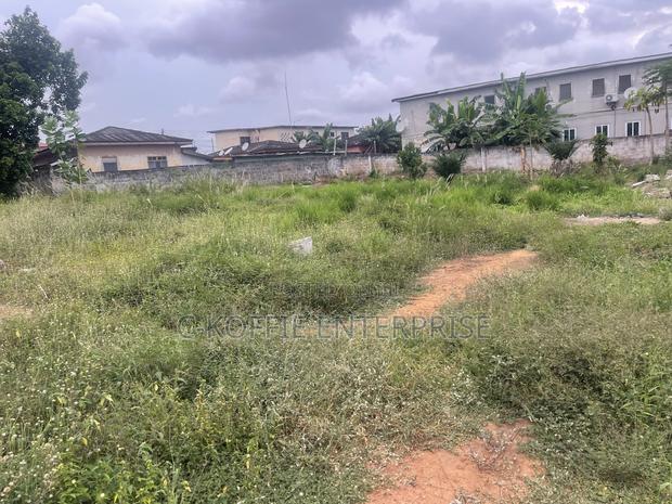 2.5 Acers Land at Kwame Nkrumah Circle · Photo 3