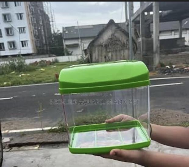 Mini Aquarium Tank · Photo 3