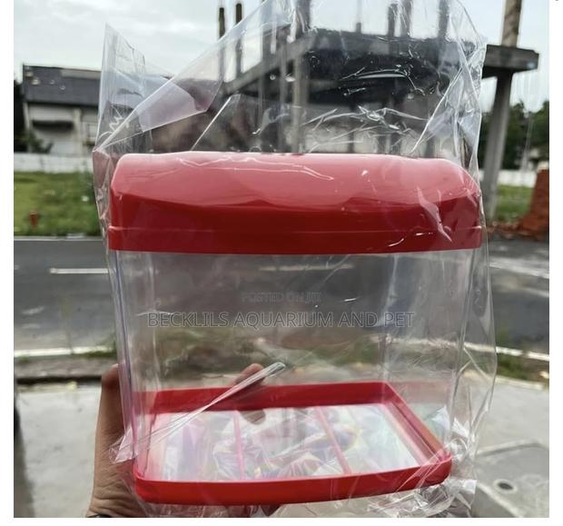 Mini Aquarium Tank · Photo 1