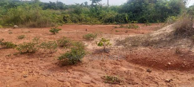 Litigation Free Land at Kwabere Sarfo · Photo 2