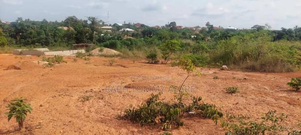 Litigation Free Land at Kwabere Sarfo · Photo 4