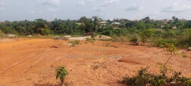 Litigation Free Land at Kwabere Sarfo · Photo 5