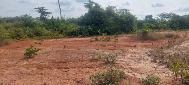 Litigation Free Land at Kwabere Sarfo · Photo 8