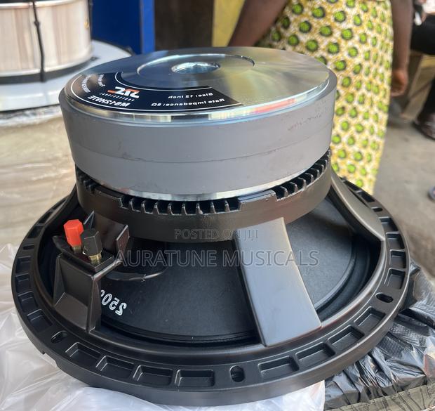 Jac 12 Inches Double Magnet Speaker [Ms12h97el · Photo 4