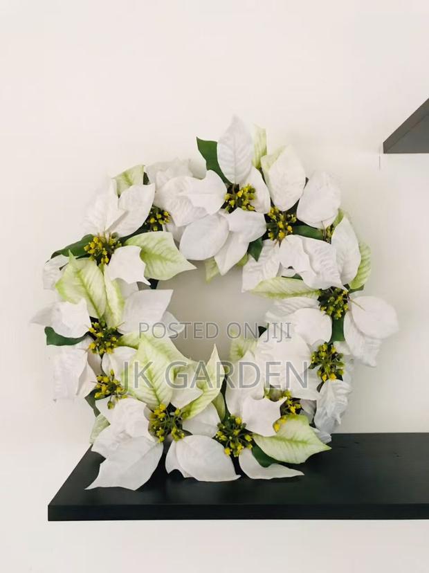 Christmas Flower · Photo 4