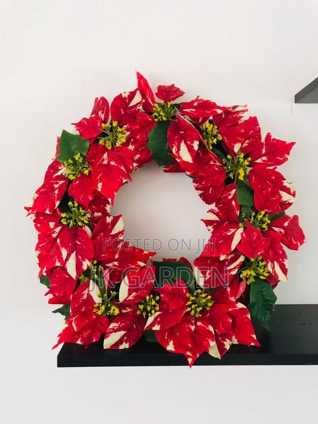 Christmas Flower · Photo 2