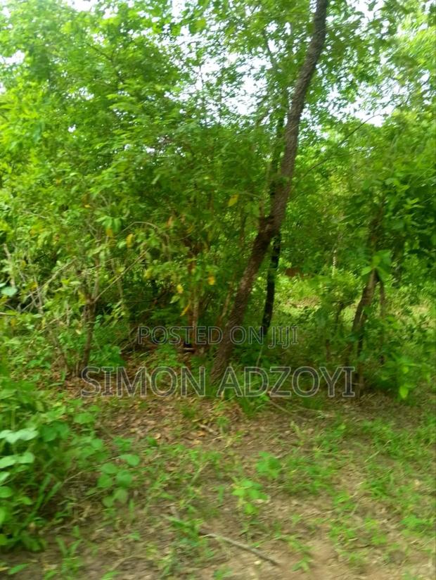 10,000 Acres Farm Land for Sale · Photo 2