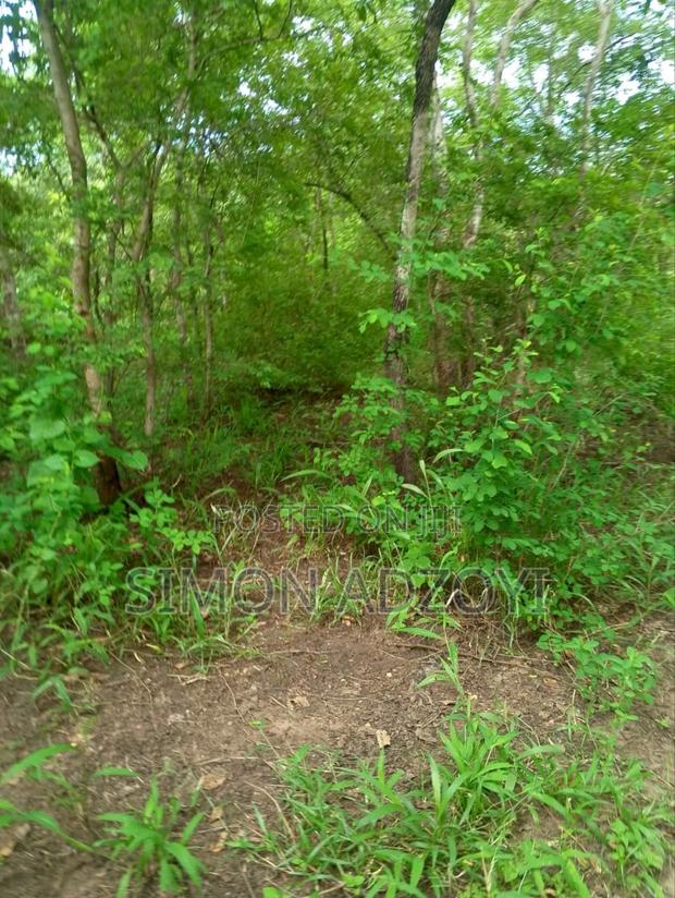 10,000 Acres Farm Land for Sale · Photo 3