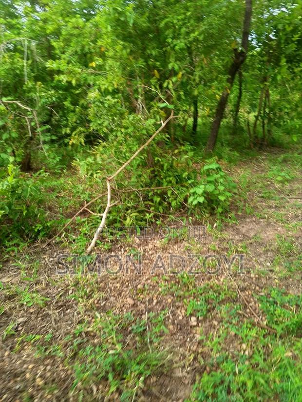 10,000 Acres Farm Land for Sale · Photo 4