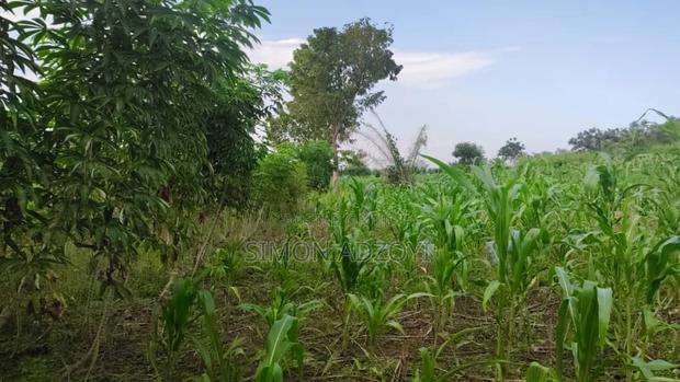 10,000 Acres Farm Land for Sale · Photo 5