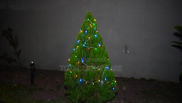 Battery Operated Fairy Light · Photo 5