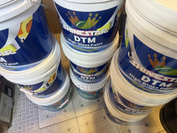 Shinestar DTM (High Gloss Paint · Photo 3