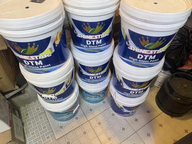 Shinestar DTM (High Gloss Paint · Photo 5