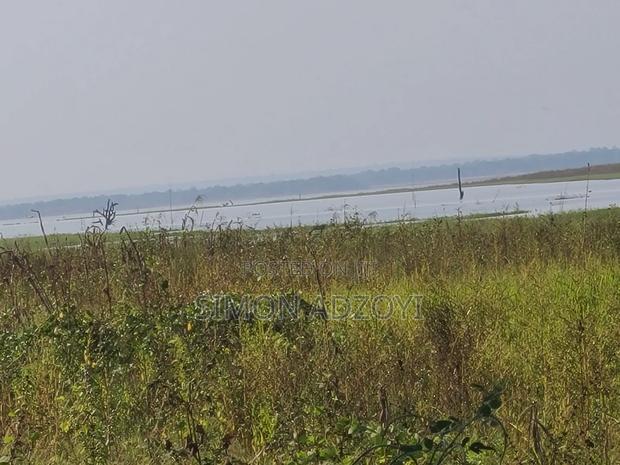 Volta River Front Farm Land for Long-Term Leases · Photo 1