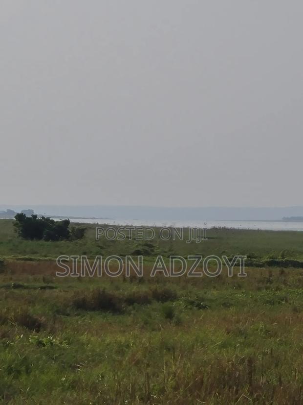 Volta River Front Farm Land for Long-Term Leases · Photo 2