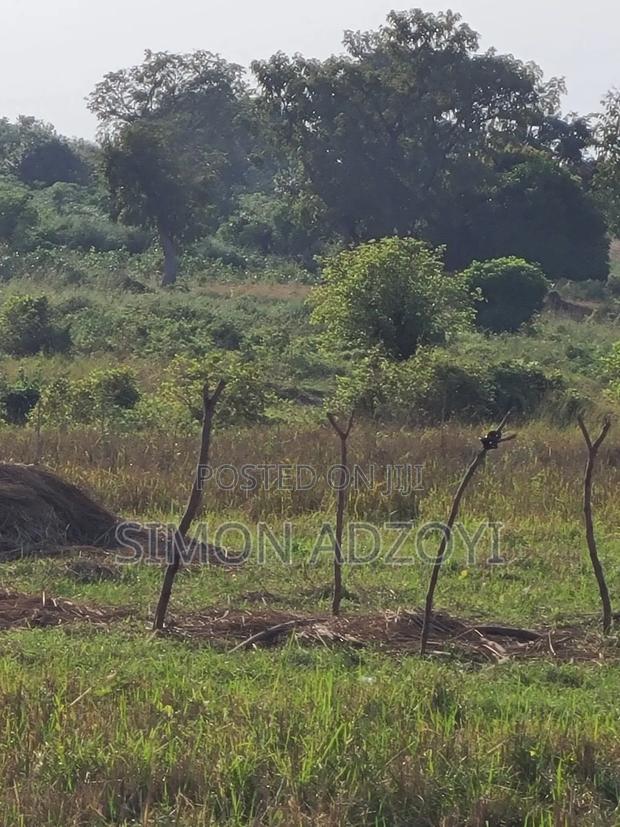 Volta River Front Farm Land for Long-Term Leases · Photo 3