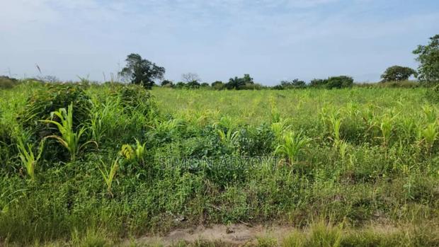Volta River Front Farm Land for Long-Term Leases · Photo 5
